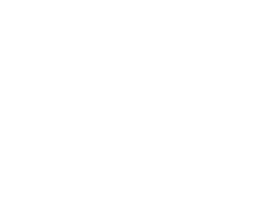 Steam